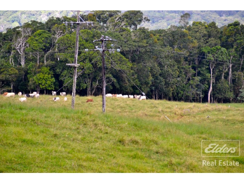 Malanda QLD 4885