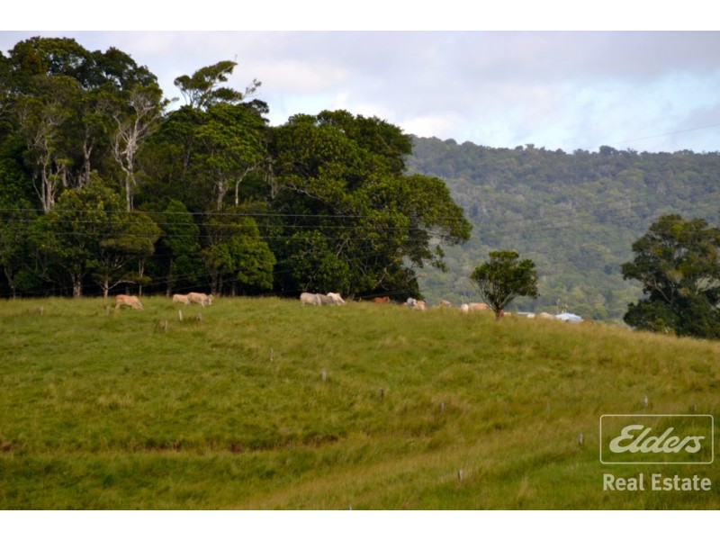 Malanda QLD 4885