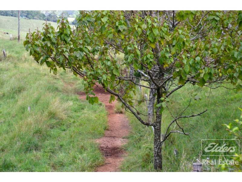 Malanda QLD 4885