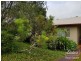 Malanda QLD 4885