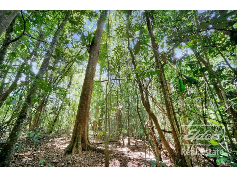 Lake Eacham QLD 4884