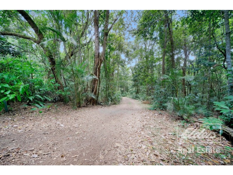 Lake Eacham QLD 4884