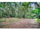 Lake Eacham QLD 4884