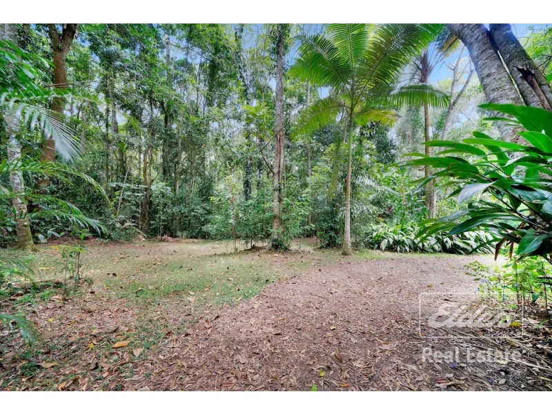 Lake Eacham QLD 4884