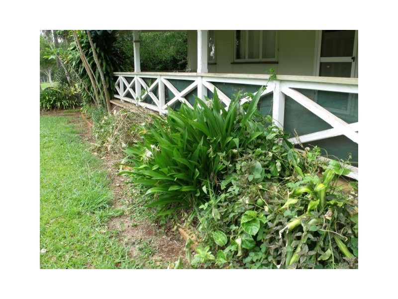 202 Topaz Rd “The House”, Malanda QLD 4885