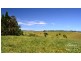Jaggan QLD 4885