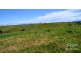 Jaggan QLD 4885