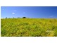 Jaggan QLD 4885