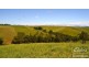 Jaggan QLD 4885