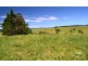 Jaggan QLD 4885
