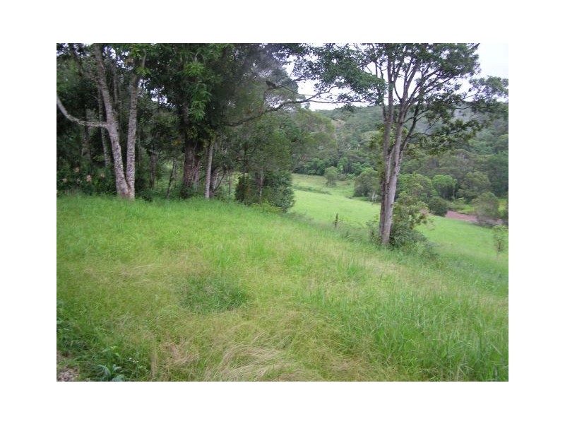 217 Winfield Rd, Malanda QLD 4885