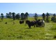 Malanda QLD 4885