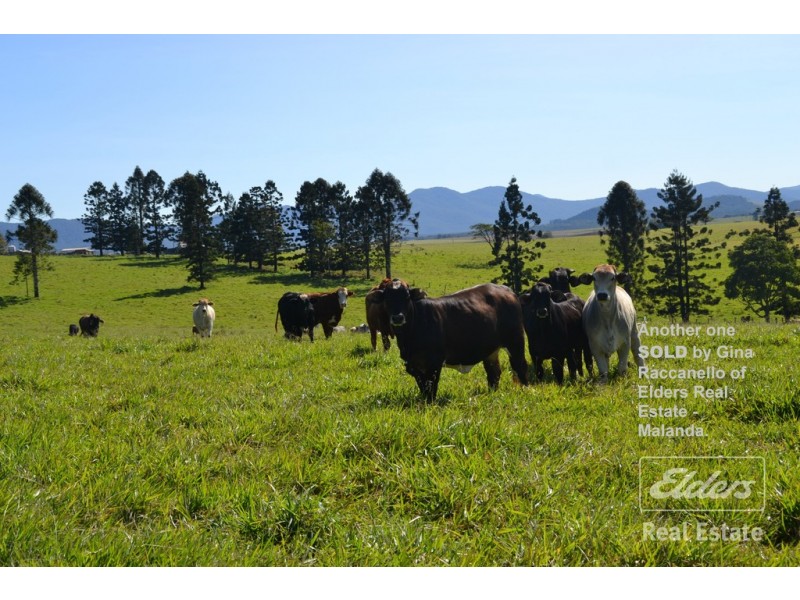 Malanda QLD 4885