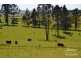 Malanda QLD 4885