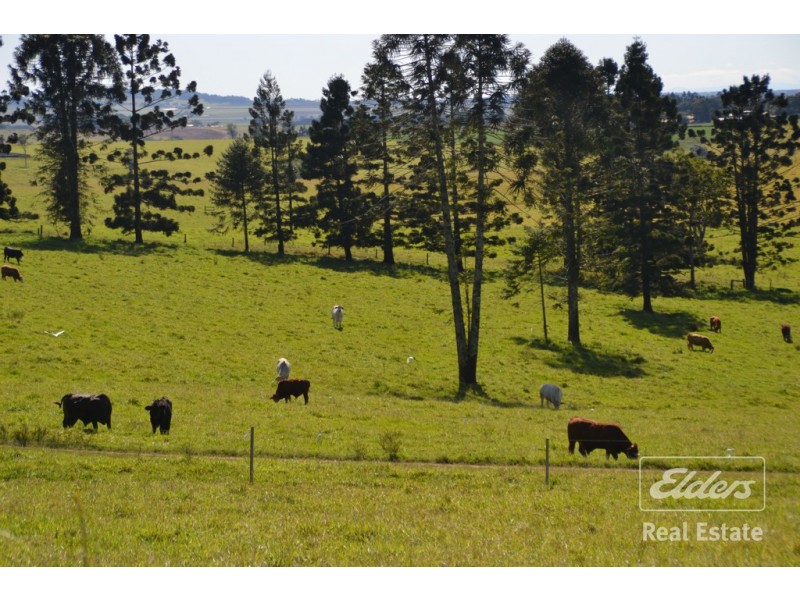Malanda QLD 4885