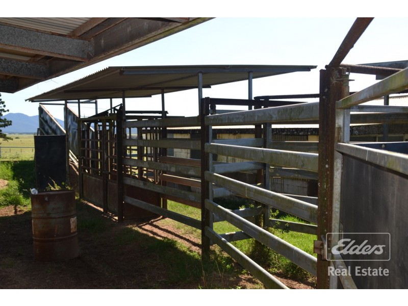 Malanda QLD 4885