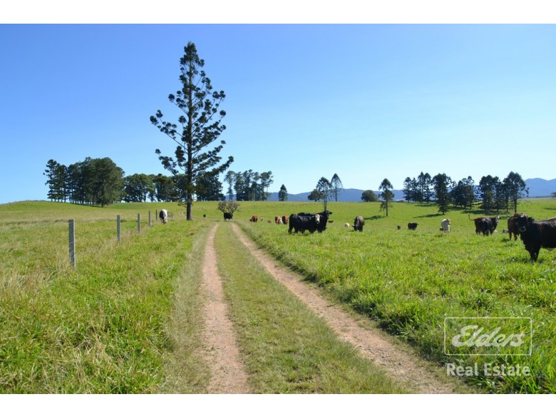 Malanda QLD 4885