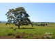 Malanda QLD 4885