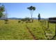 Malanda QLD 4885