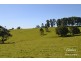 Malanda QLD 4885