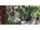 Wondecla QLD 4887