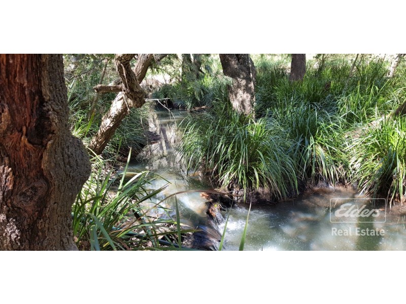 Wondecla QLD 4887