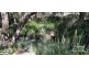 Wondecla QLD 4887