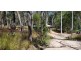 Wondecla QLD 4887