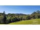 Butchers Creek QLD 4885