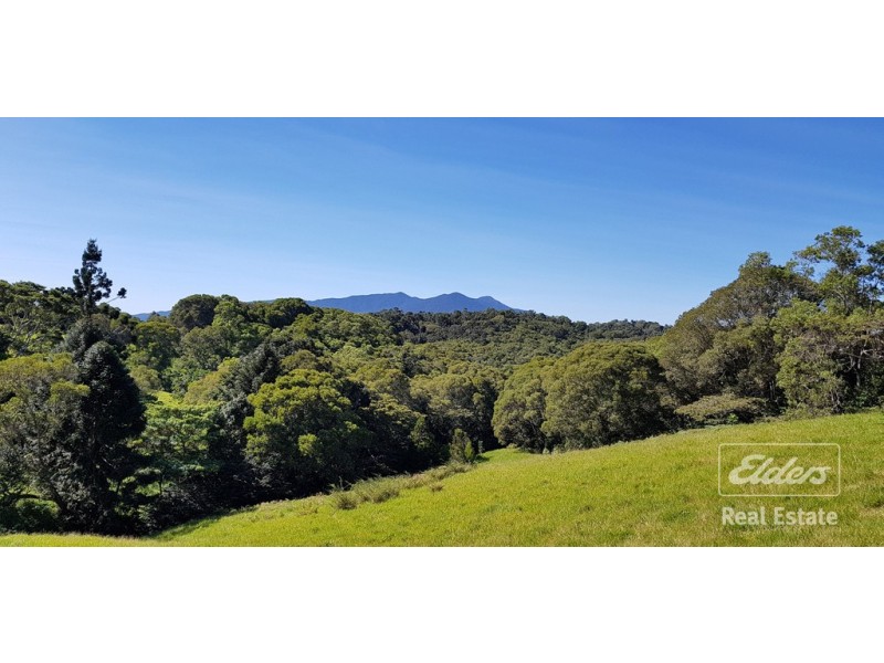 Butchers Creek QLD 4885