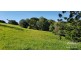 Butchers Creek QLD 4885