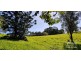 Butchers Creek QLD 4885