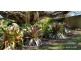Butchers Creek QLD 4885