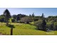 Butchers Creek QLD 4885