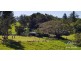 Butchers Creek QLD 4885