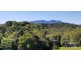 Butchers Creek QLD 4885