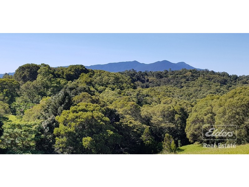 Butchers Creek QLD 4885
