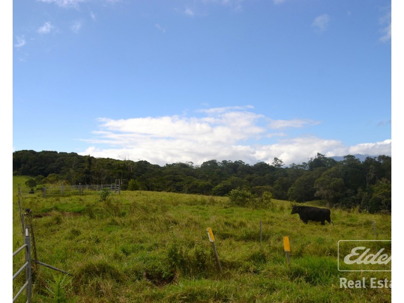 Malanda QLD 4885