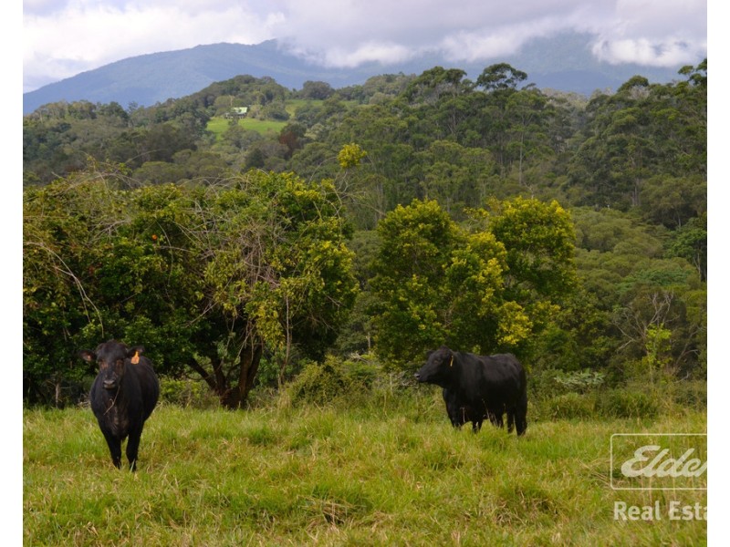Malanda QLD 4885
