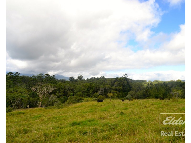 Malanda QLD 4885