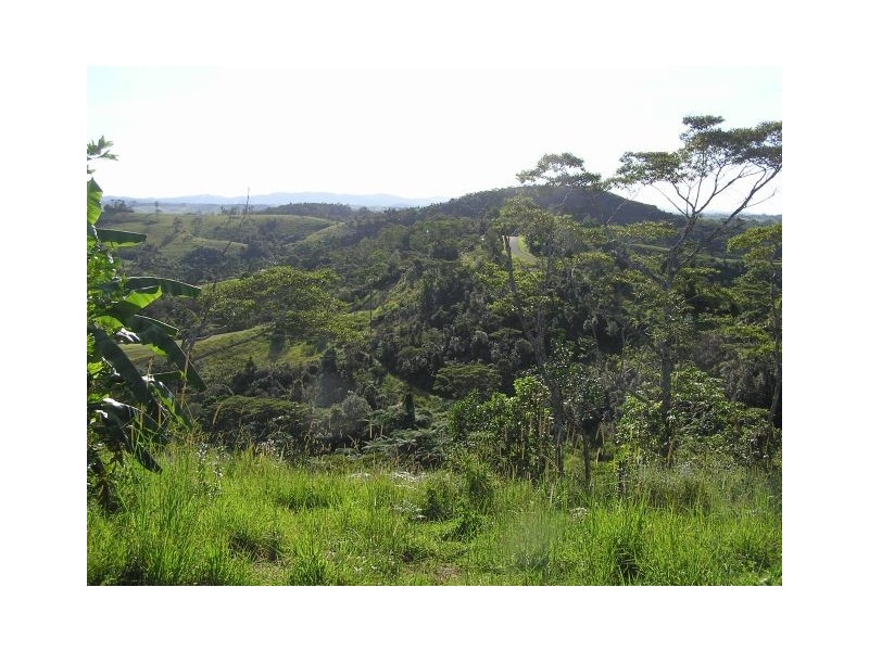 292 Hitchconole Rd, Malanda QLD 4885