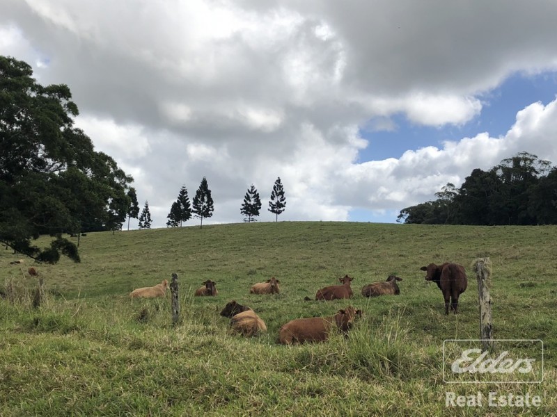 Lake Eacham QLD 4884