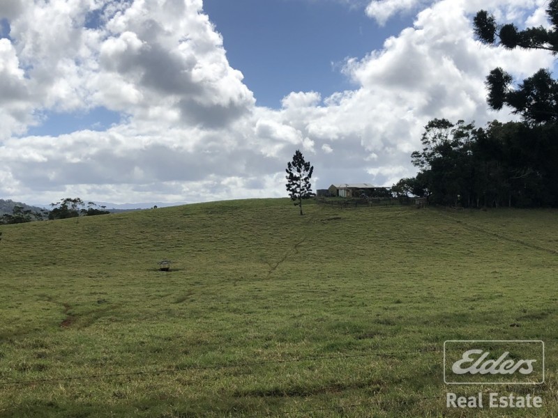 Lake Eacham QLD 4884