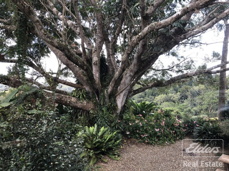 Lake Eacham QLD 4884