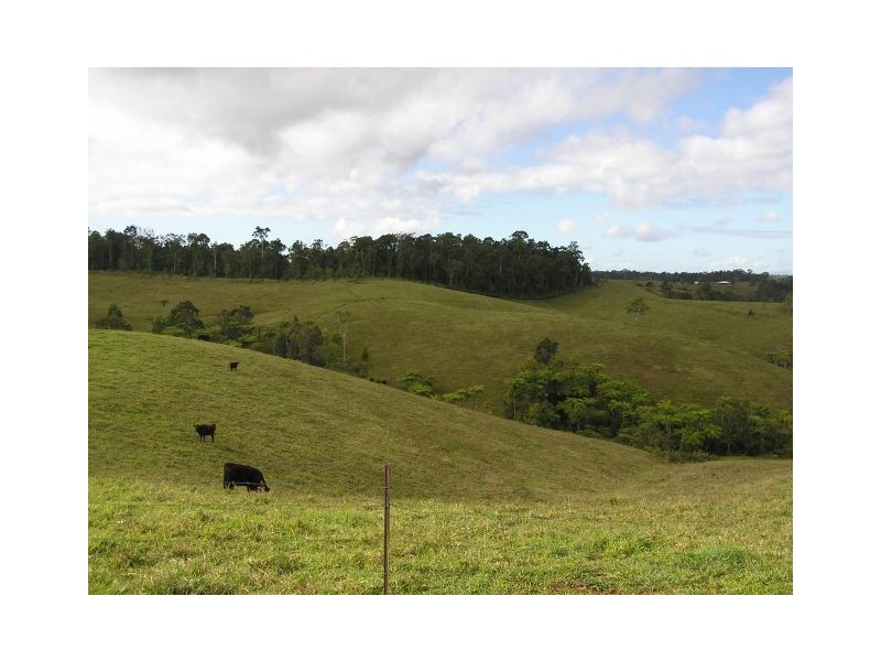 194 King Rd, TOPAZ, Malanda QLD 4885