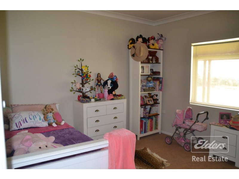 Tolga QLD 4882
