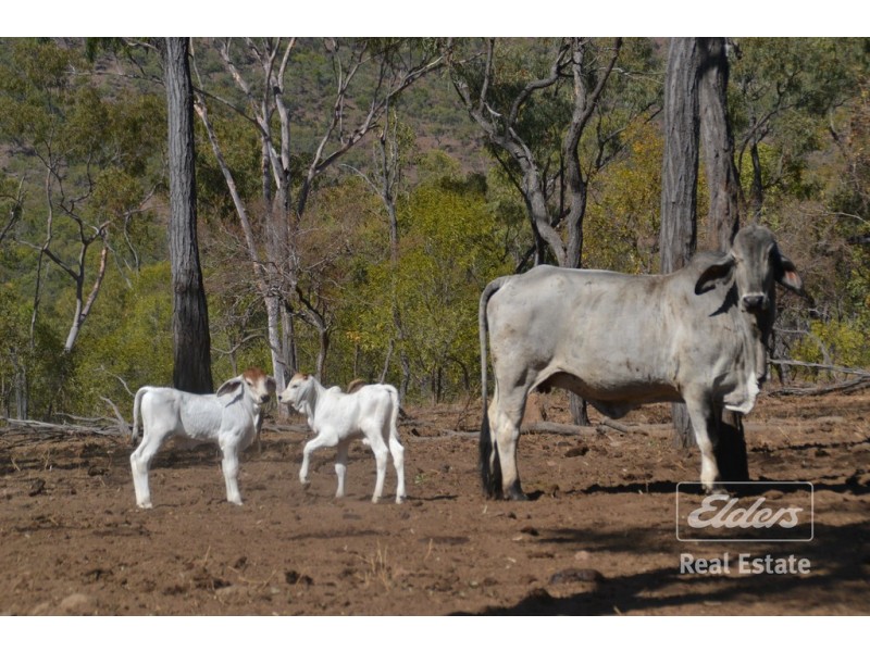 Irvinebank QLD 4887