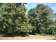 Malanda QLD 4885