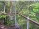 Malanda QLD 4885