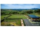 Millaa Millaa QLD 4886
